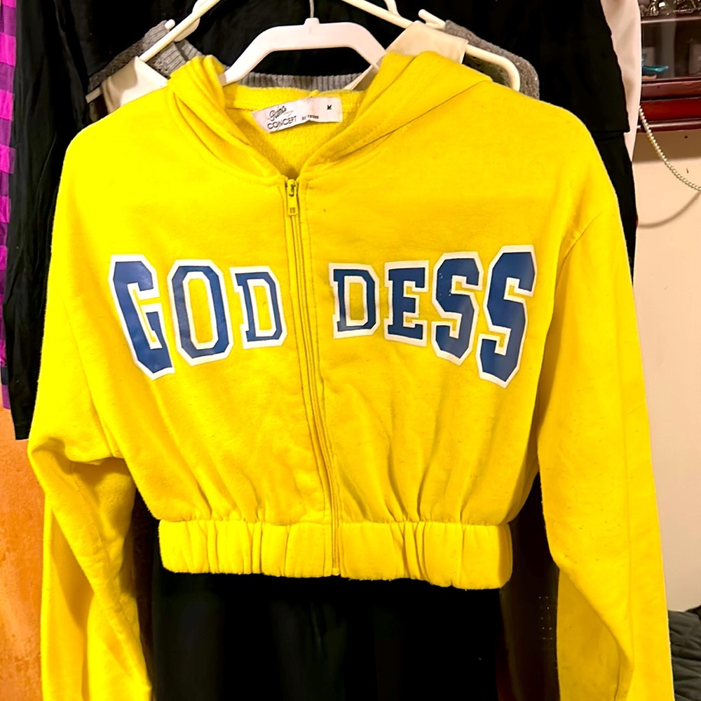 Roma concept crop top hoodie